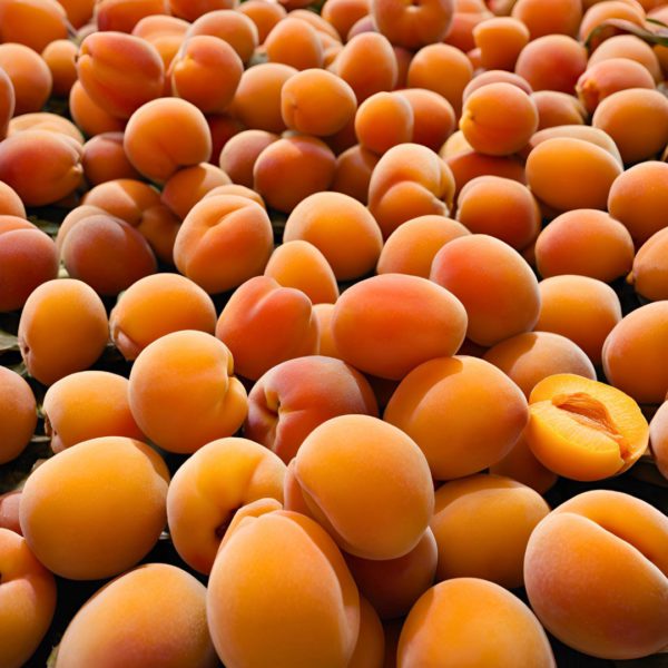 Premium Turkish Apricots - Naturally Sweet & Juicy